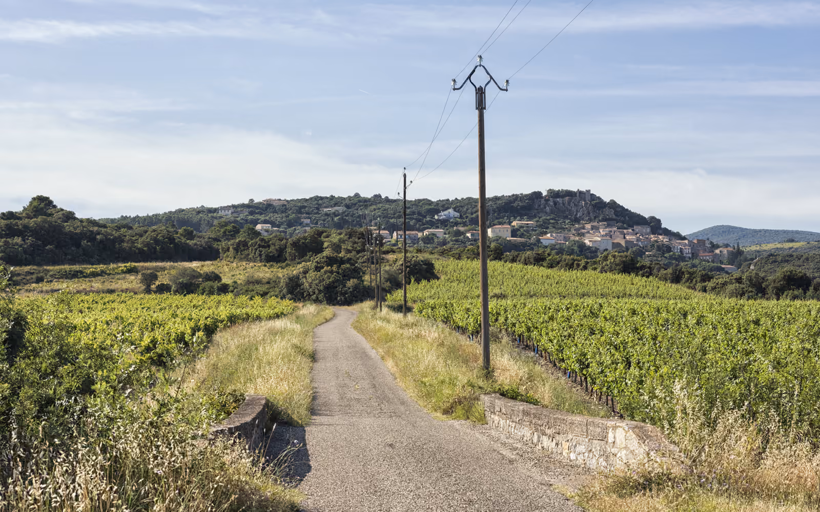 Une route entre les vignes au pied de Roquessels, dans l’Hérault.